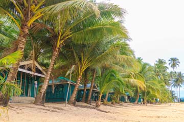 <b class="font-bara"><i class="bi bi-geo-fill h4"></i> MANLIGUEZ COCO BEACH RESORT</b> <br/>Bil-At Cagbuaya, Balete, Bayabas, Surigao del Sur
